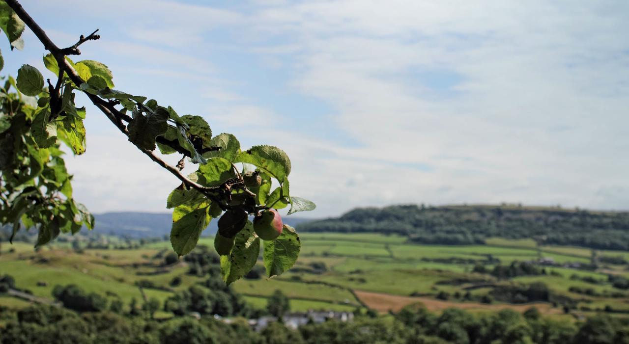 ホテル Mason'S Arms Bowland Bridge エクステリア 写真
