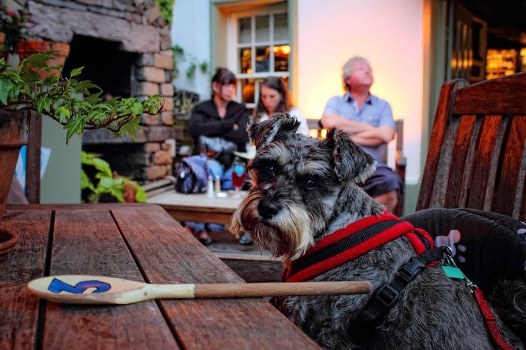 ホテル Mason'S Arms Bowland Bridge エクステリア 写真
